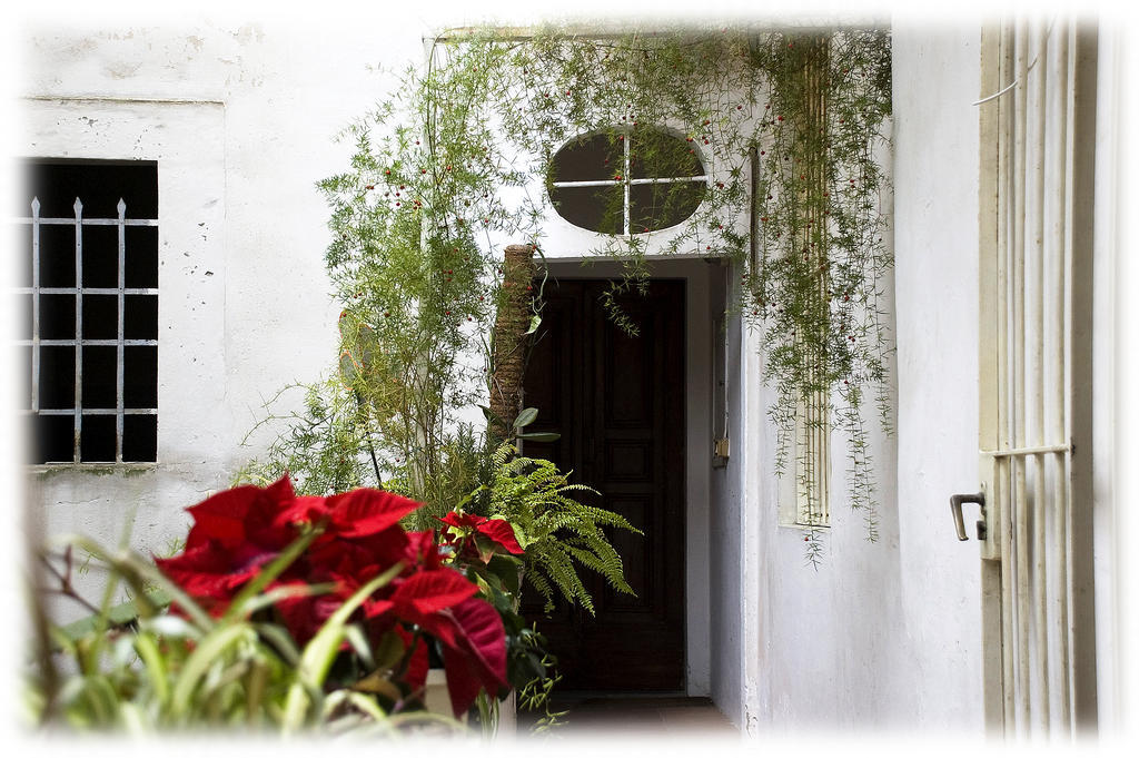 Florence Rental Extérieur photo